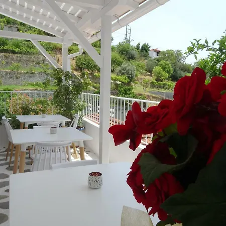 Galini Hellenic Hospitality